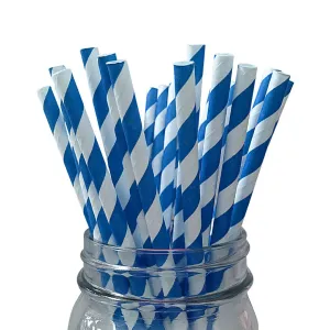 Blue Striped Paper Straws - 24 Pkt