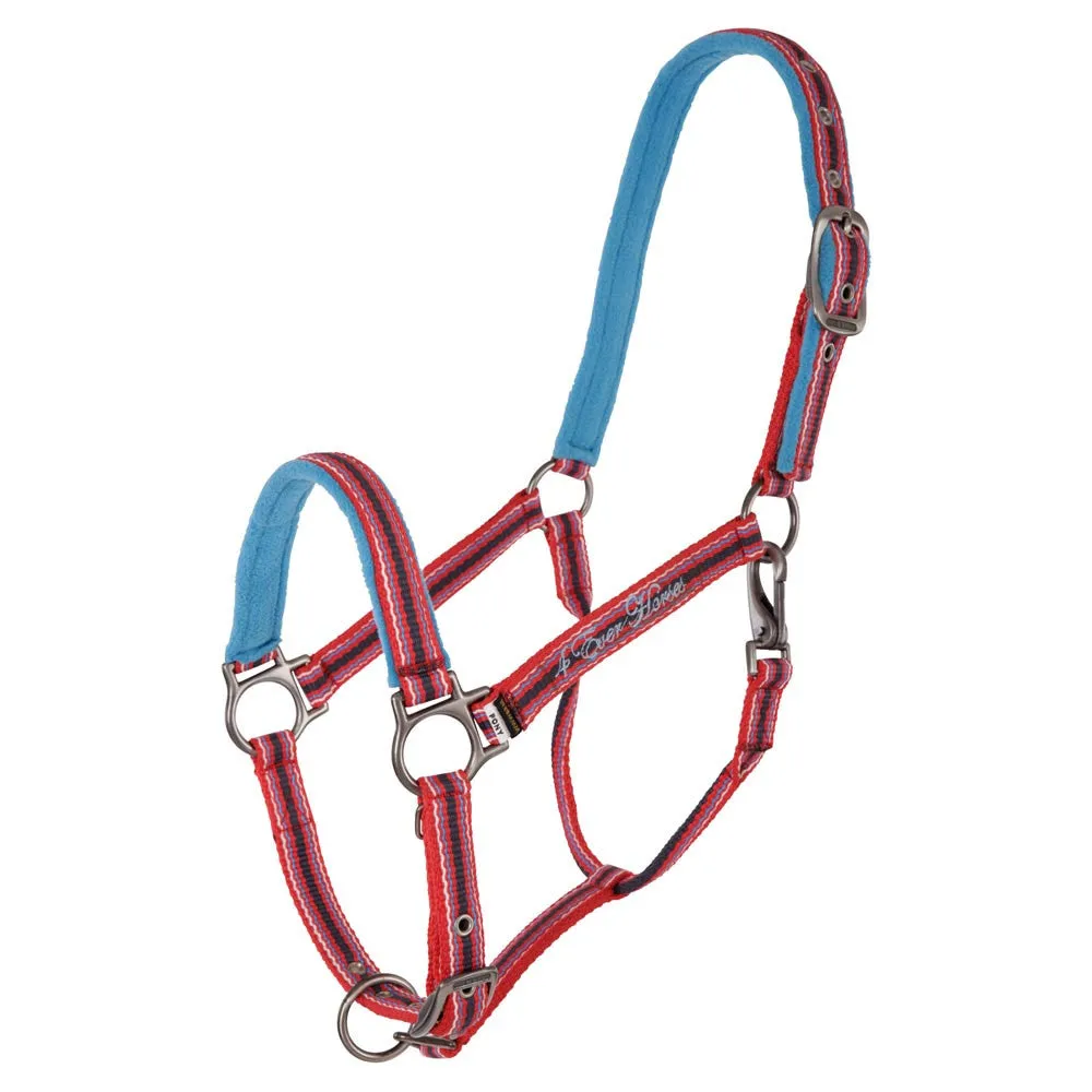 BR 4 Ever Horses Halter