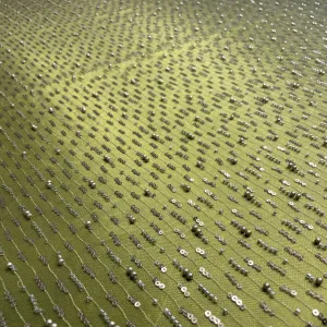 Exclusive Olive Green Pearl Sequins Cut Dana Embroidery Net Fabric