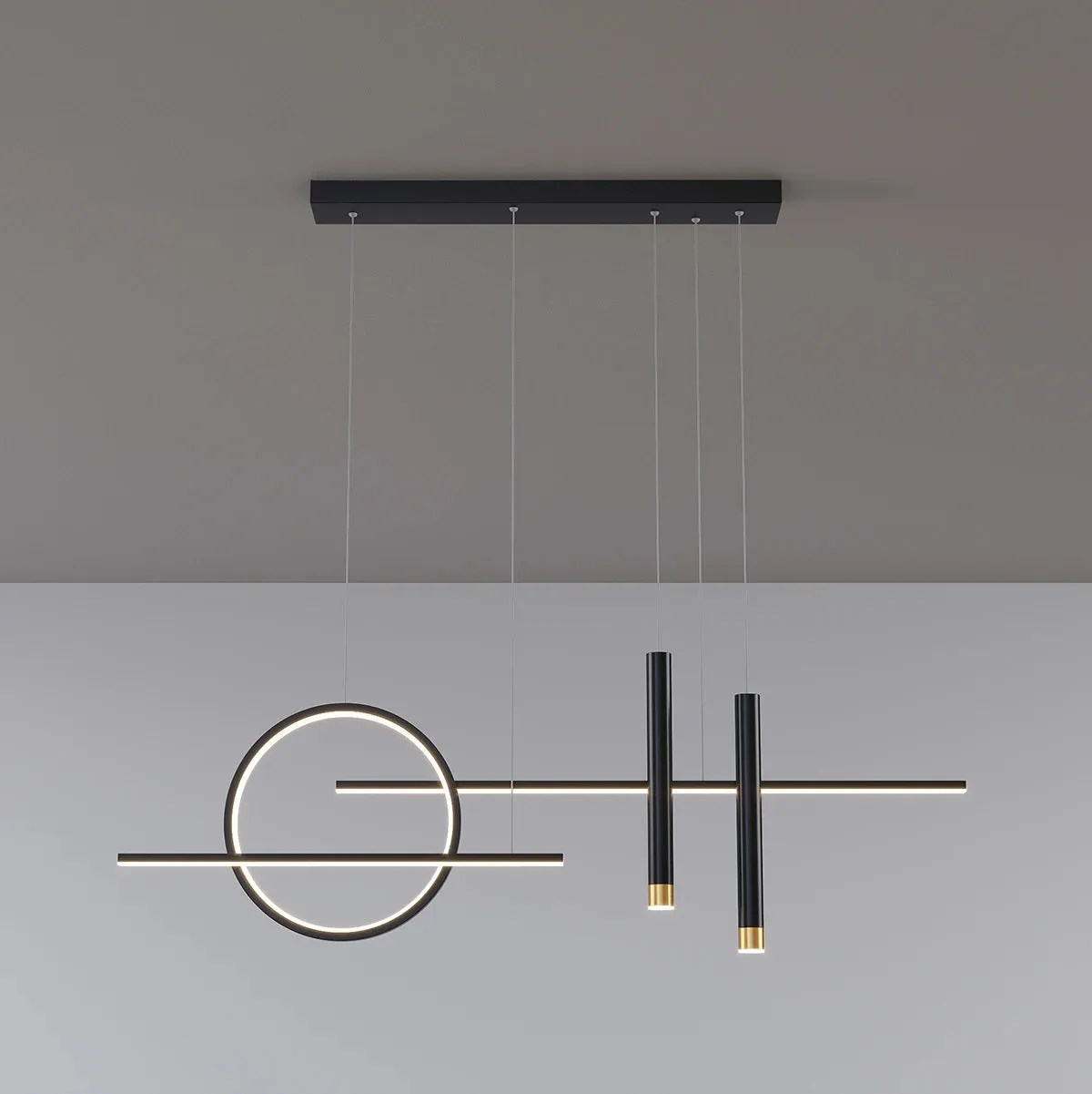 NEO Ring Linear with Spotlight Modern led Pendant Light