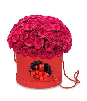 Romantic  50 Red Roses