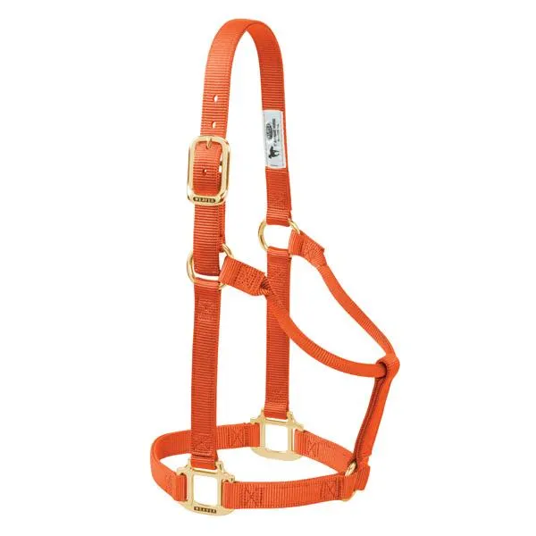 Weaver Large Horse Non-Adjustable 1" Nylon Halter