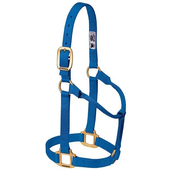 Weaver Small Horse Non-Adjustable 1" Nylon Halter