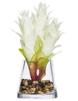 White Bromeliad Stateroom Bouquet Yacht Silks Arrangement